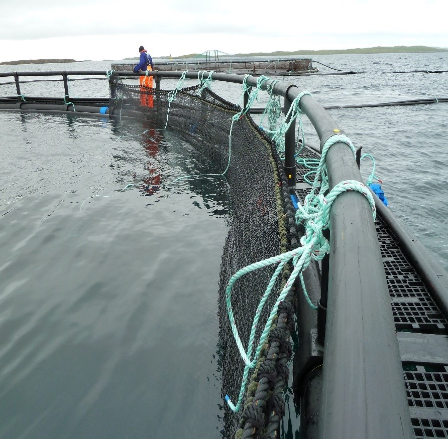 Fish Net Pens Solutions for Aquaculture