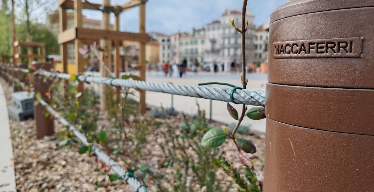 Travaux de requalification des allées de la liberté à Cannes, Cannes (06)