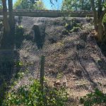 EROSION CONTROL AGAINST MAMMAL BURROWING