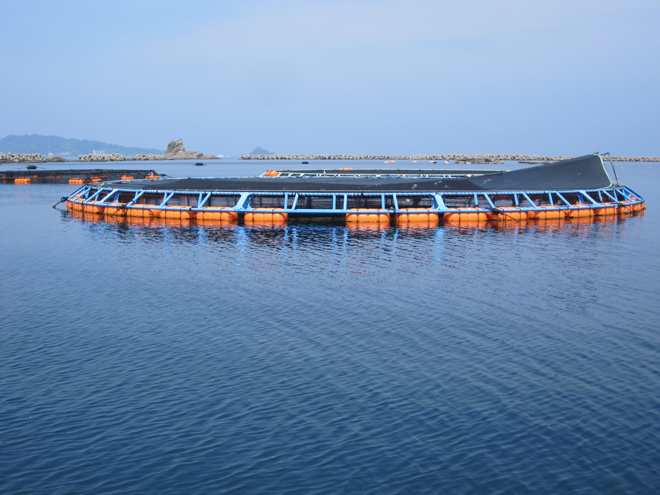 fishing boats nets, fishing boats nets Suppliers and Manufacturers